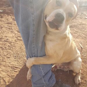 Meet your Posher, Tzabrina