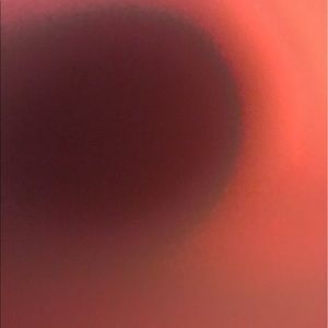 Meet your Posher, Richard