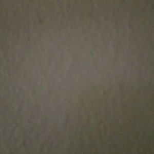 Meet your Posher, Rita