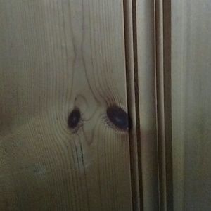 Meet your Posher, Gavin