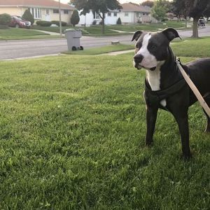 Meet your Posher, Patricia