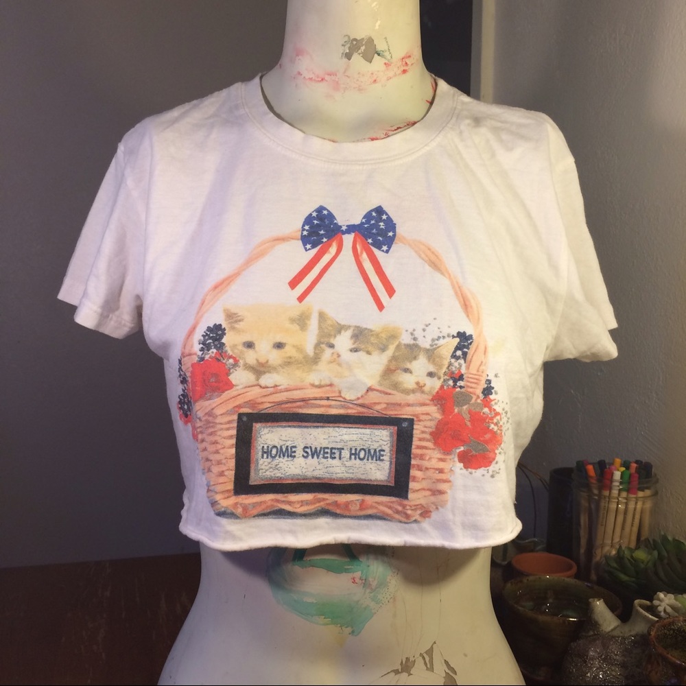 American Kitten Basket & Flowers Crop Top Tee