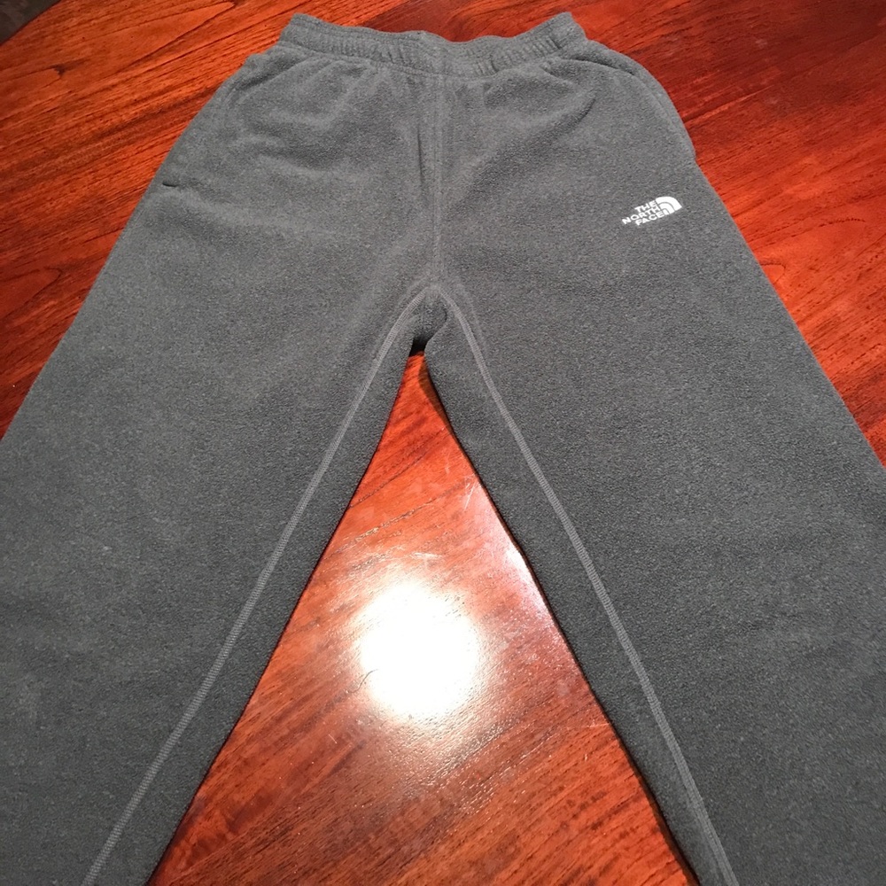 The north face sweat pants