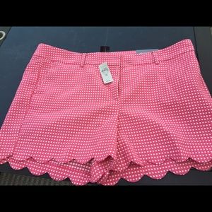 Ann Taylor Shorts