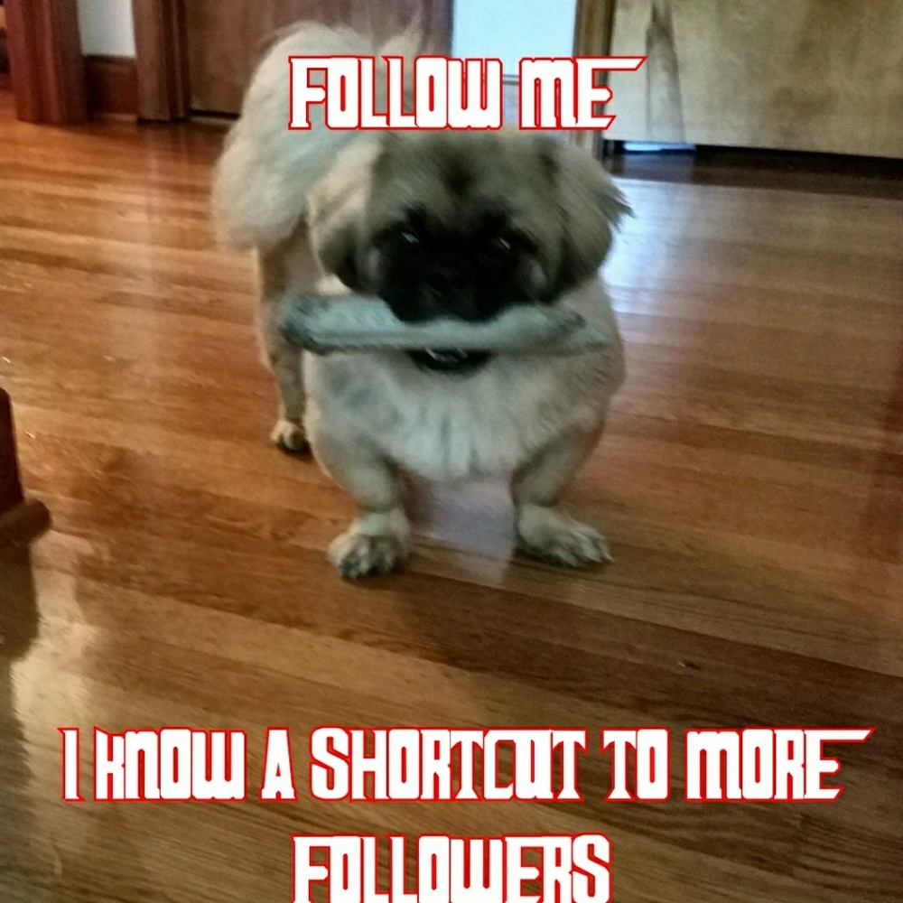 My 1st Follow Game 😁