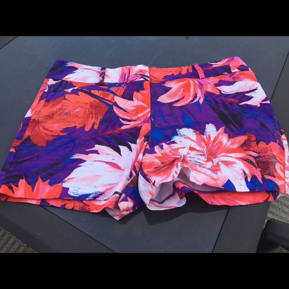 Ann Taylor Short