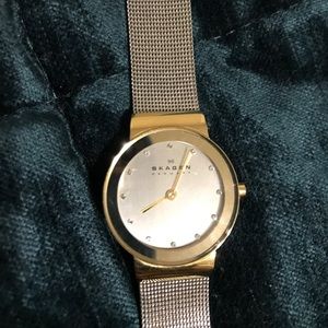 Skagen mesh watch