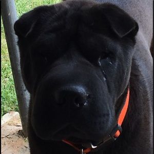 Meet your Posher, Cathy