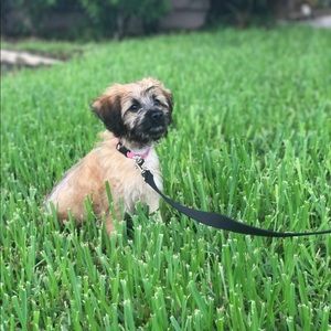 Meet your Posher, Samantha