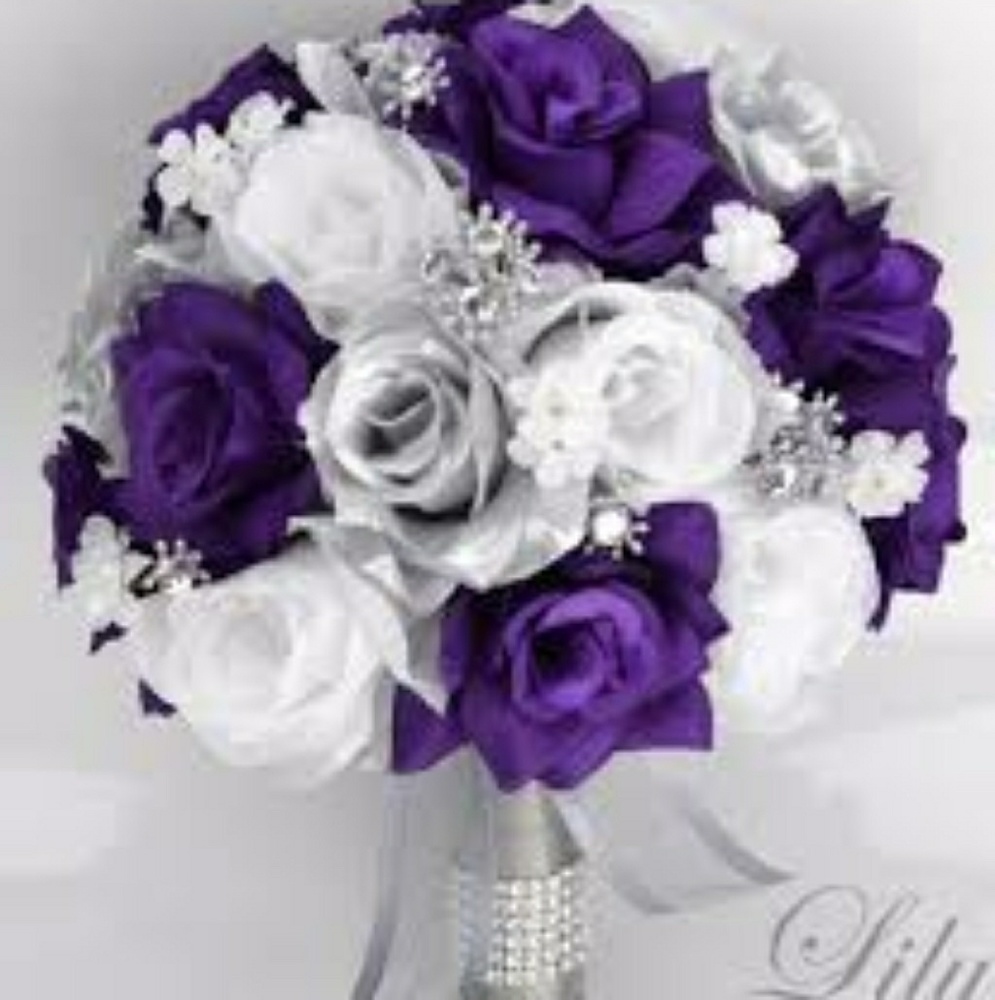 Meet your Posher, Sylvia