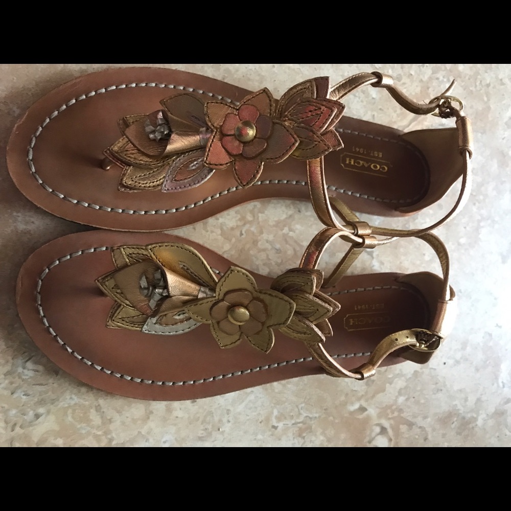 Authentic New Coach Sierra Sandals w/o tags.