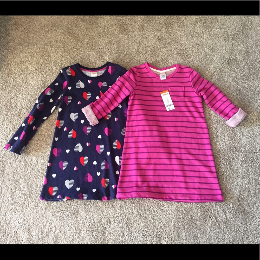 Gymboree Girl Sweatshirt Dress Bundle