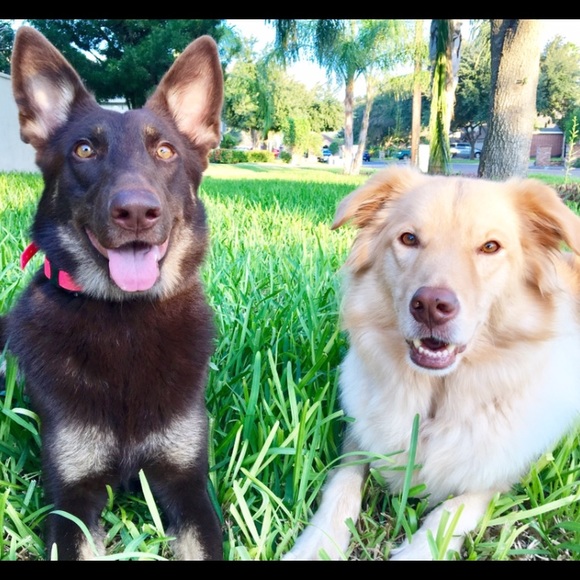 Meet your Posher, Deborah - Picture 7 of 7