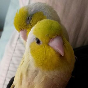 Meet your Posher, Cathy