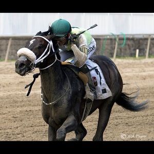 Meet your Posher, Sheldon