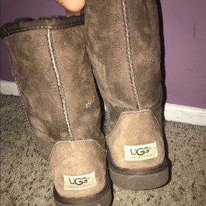 Classic short chocolate brown Ugg boots