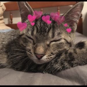 Meet your Posher, Elliot