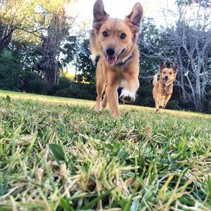 Meet your Posher, Tim