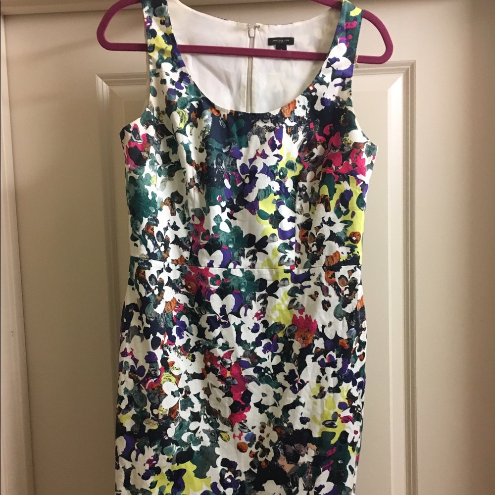 Knee Length Ann Taylor Floral Print Dress