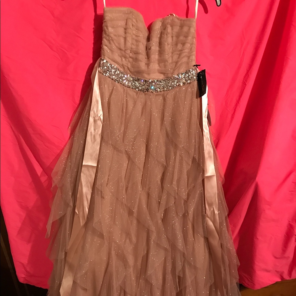 NWT PROM DRESS/pageant dress Blush color