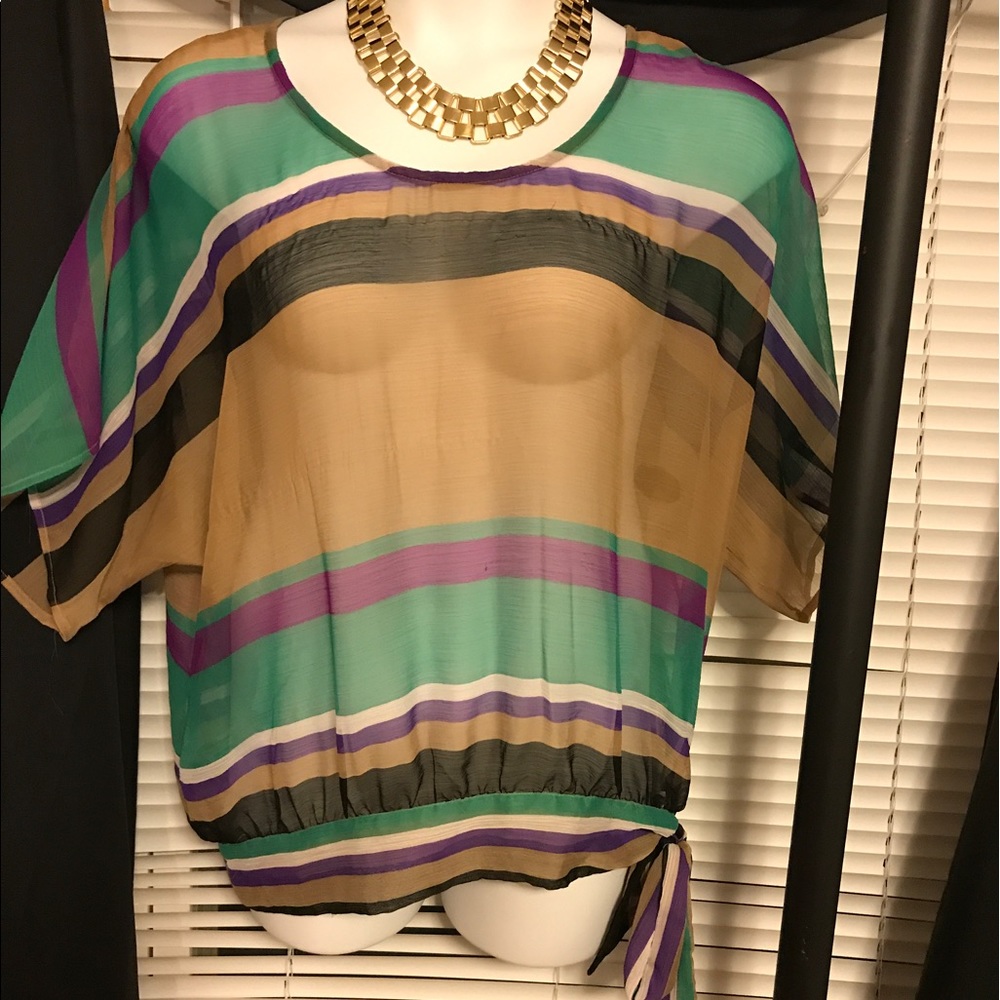 Beautiful sheer top