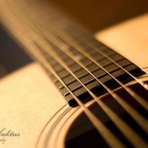 Meet your Posher, Pedro