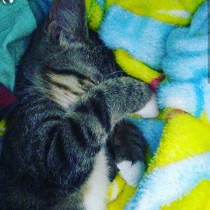 Meet your Posher, Christy