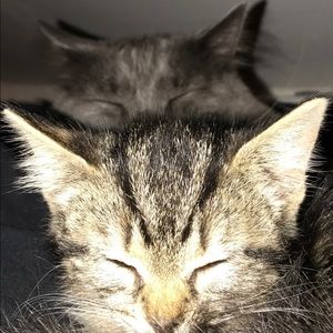 Meet your Posher, Jordan