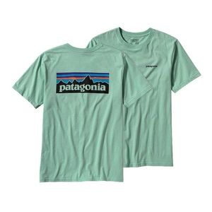 mint patagonia logo tee mint patagonia logo tee
