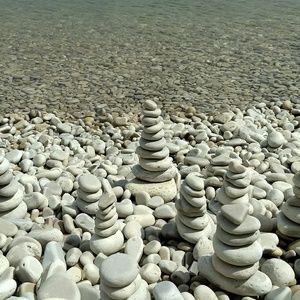 Meet your Posher, Annie