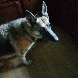 Meet your Posher, Carol