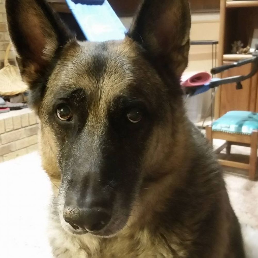 Meet your Posher, Keena