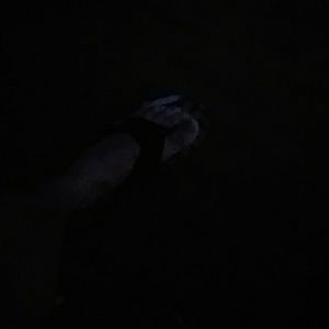 Meet your Posher, Marvin