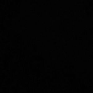 Meet your Posher, Donovan