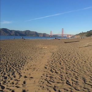 Meet your Posher, Robin