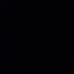 Meet your Posher, Brayden