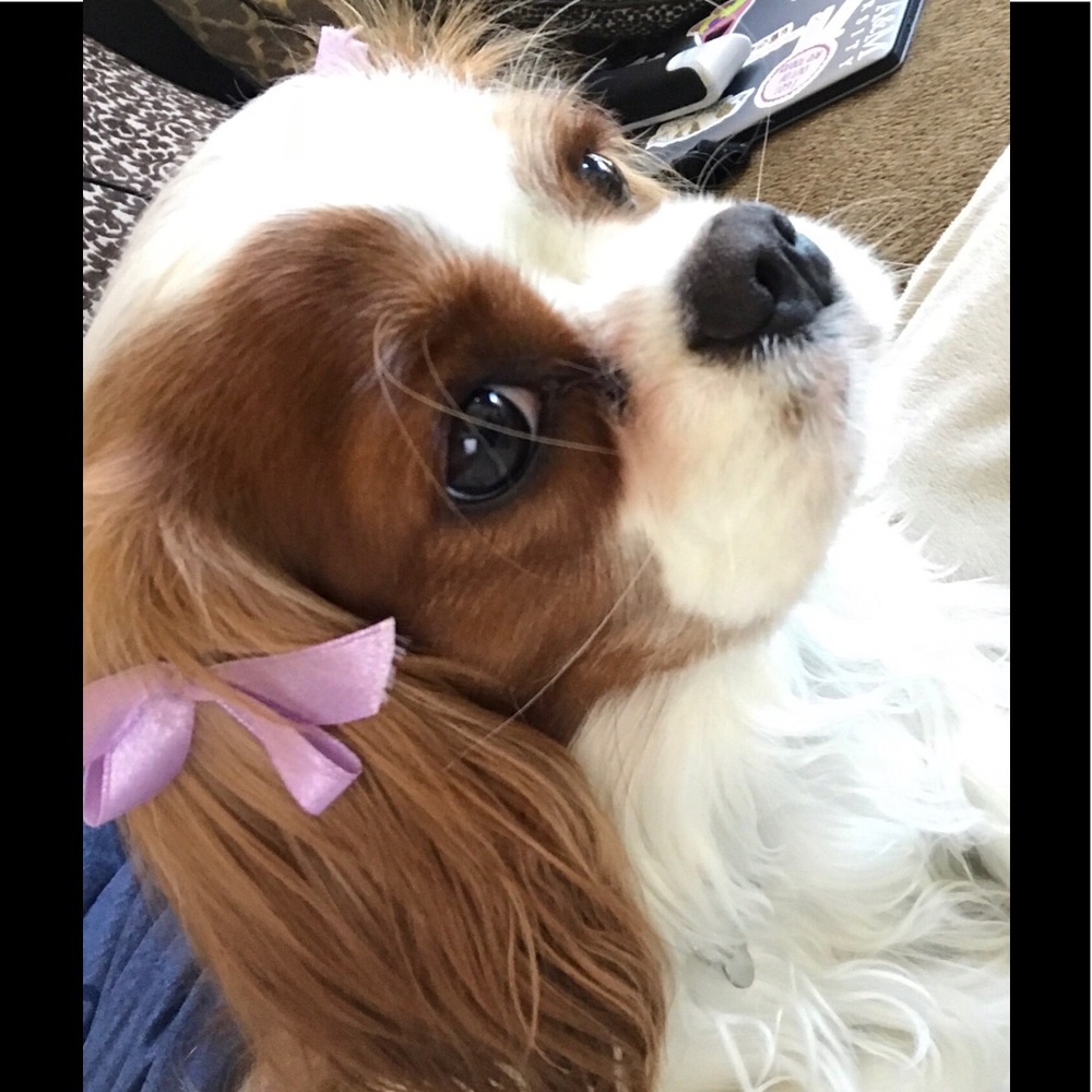 Meet your Posher, Jeannie