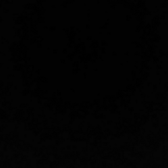 Meet your Posher, Adam - Picture 1 of 1