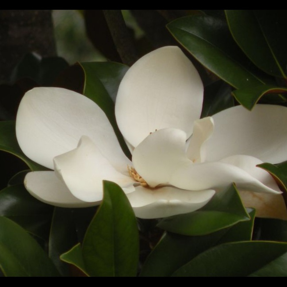 Meet your Posher, Jane