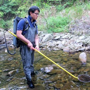 Meet your Posher, Binsong