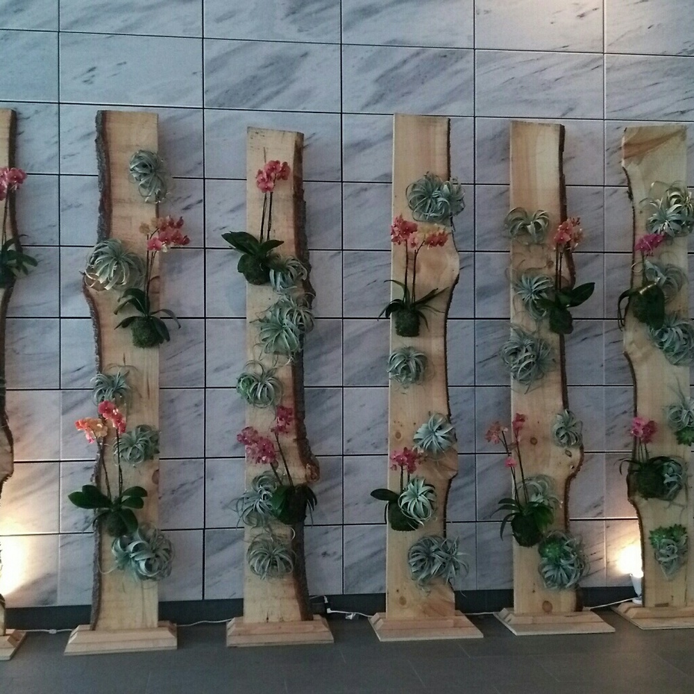 Meet your Posher, Amiee