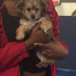 Meet your Posher, Chay