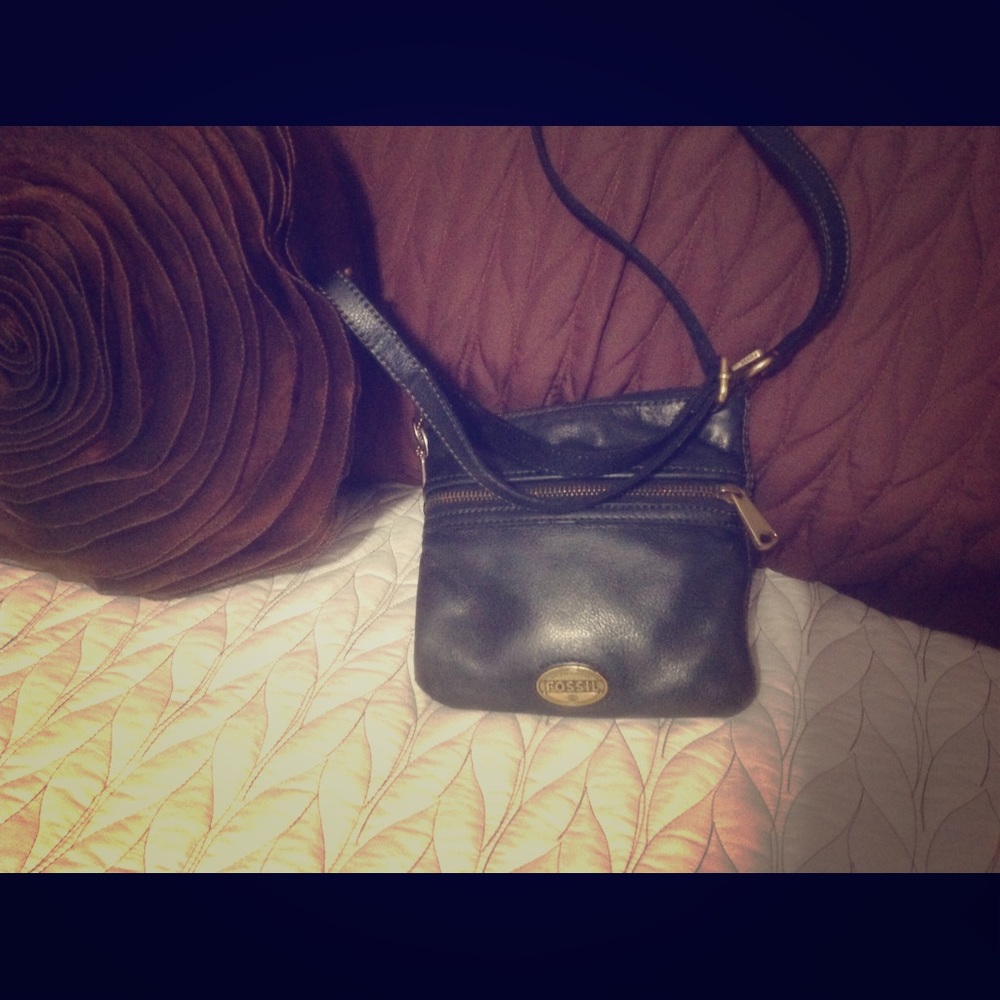 Small fossil hand bag