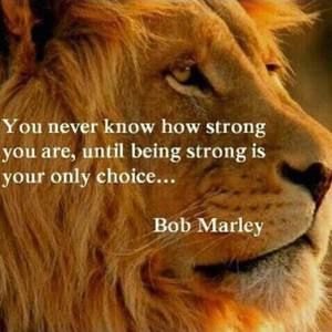 Meet your Posher, Andre raaziq nook