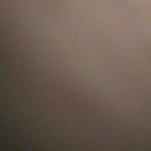 Meet your Posher, Orlando