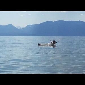 Meet your Posher, Carrie