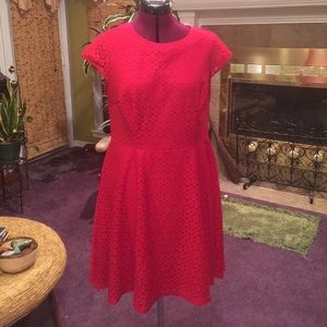 💲FIRM - CLOSEOUT: Dressbarn 16 Petite red dress