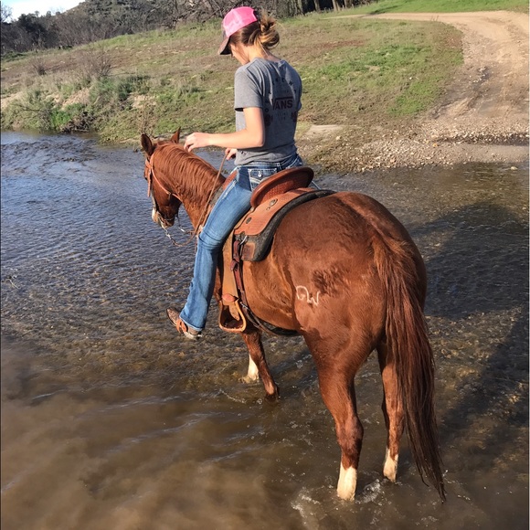 Meet your Posher, Kate - Picture 1 of 1