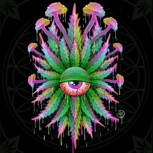 Meet your Posher, Damian