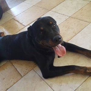 Meet your Posher, Annette